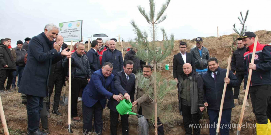 DATÜB Ahlat’ta ‘Hatıra Ormanı’ oluşturdu