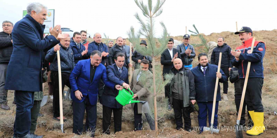 DATÜB Ahlat’ta ‘Hatıra Ormanı’ oluşturdu