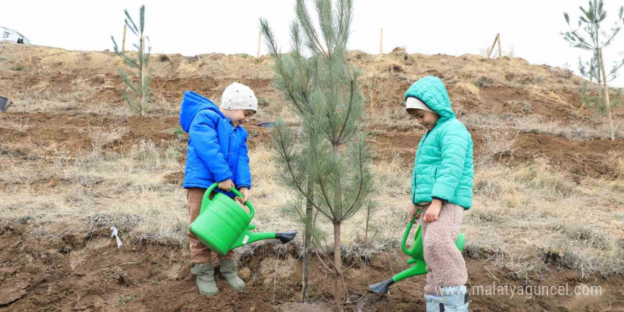 DATÜB Ahlat’ta ‘Hatıra Ormanı’ oluşturdu