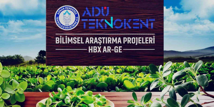 Değeri bilinmeyene semizotu, sağlık dostu çıktı