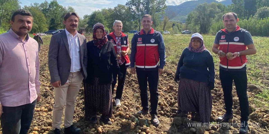 Deneme amaçlı ekilen patates, iki ilçenin geçim kaynağı oldu