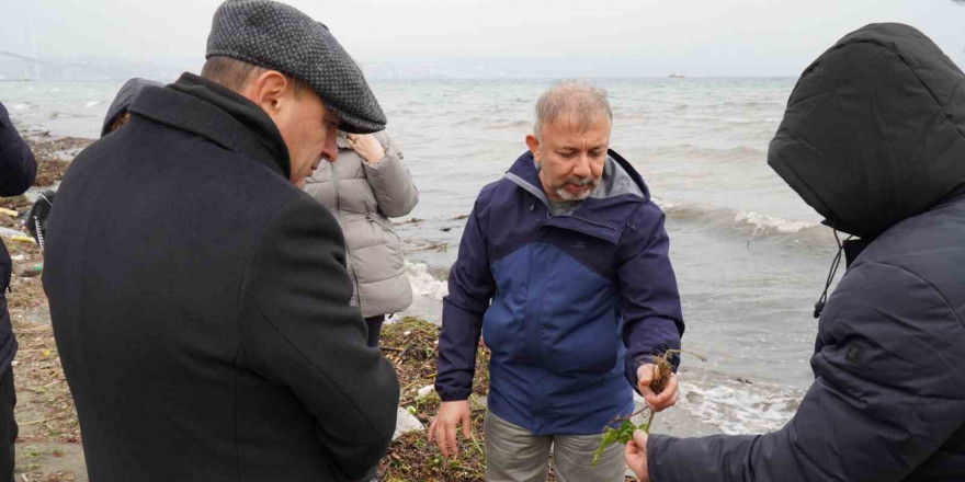 Deniz Çayırları, gelecek nesillere aktarılmalı