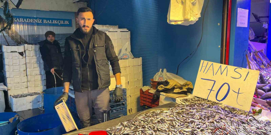 Denizdeki bolluk ve rekabet hamsi fiyatını 70 liraya kadar düşürdü