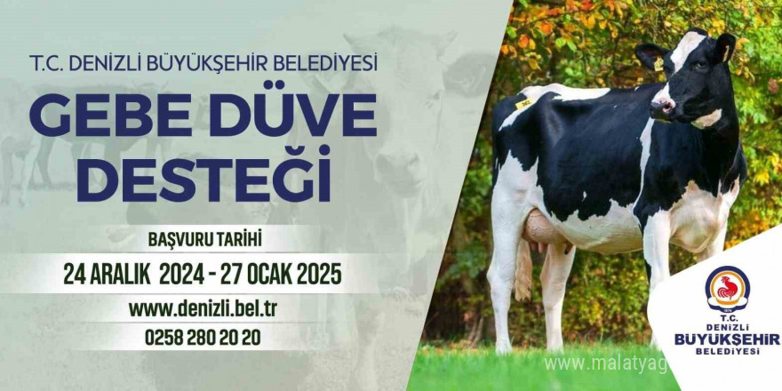 Denizli Büyükşehirin köye dönüş projesi başladı