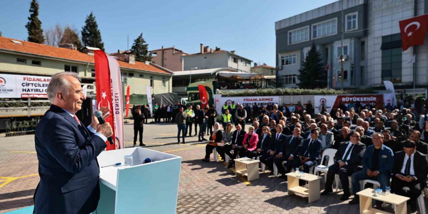 Denizli’de 14 ilçede 240 bin zeytin fidanı toprakla buluşacak