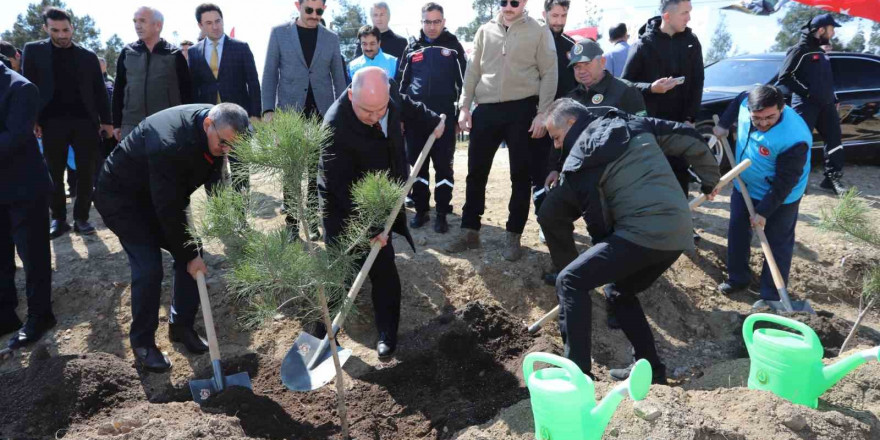 Denizli’de 14 lokasyonda 6 bin 100 adet fidan toprakla buluştu