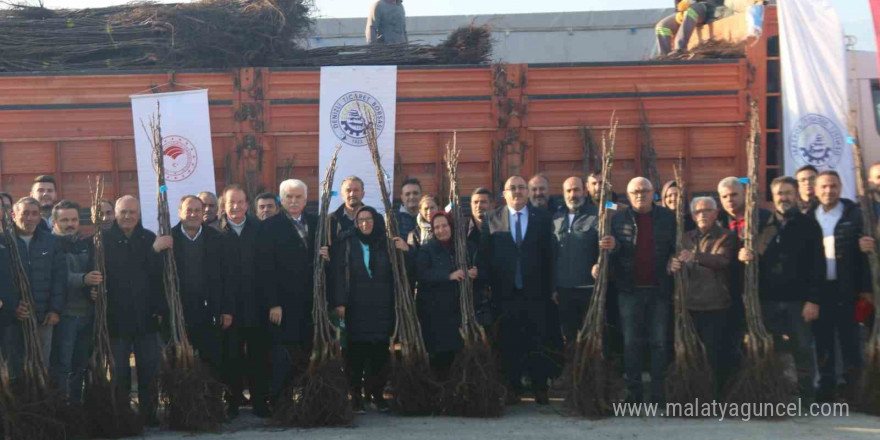 Denizli’de 40 bin ceviz fidanı üreticiyle buluşturulacak