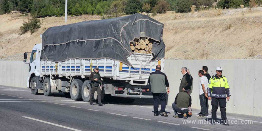 Denizli’de orman suçlarına karşı denetimler sıkılaştırıldı