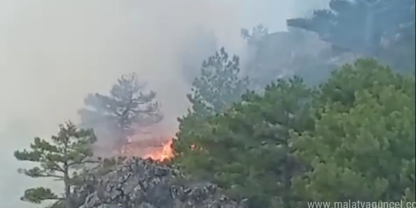 Denizli’deki orman yangınını söndürmek için vatandaşlar seferber oldu