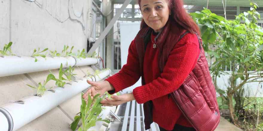 Depremzede kadının PVC boru içinde yetiştirdiği ürünler gelir kapısı oldu