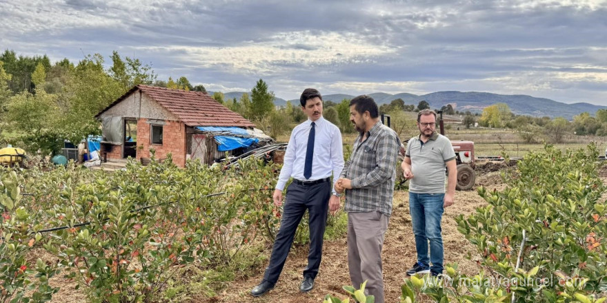 Dereköy ve Ahmetler köyünün yeni geçim kaynağı ahududu ve aronya