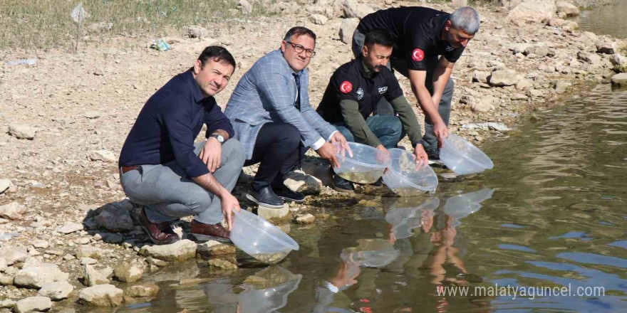 Dicle ilçesindeki Kralkızı Barajına 100 bin pullu sazan yavrusu bırakıldı