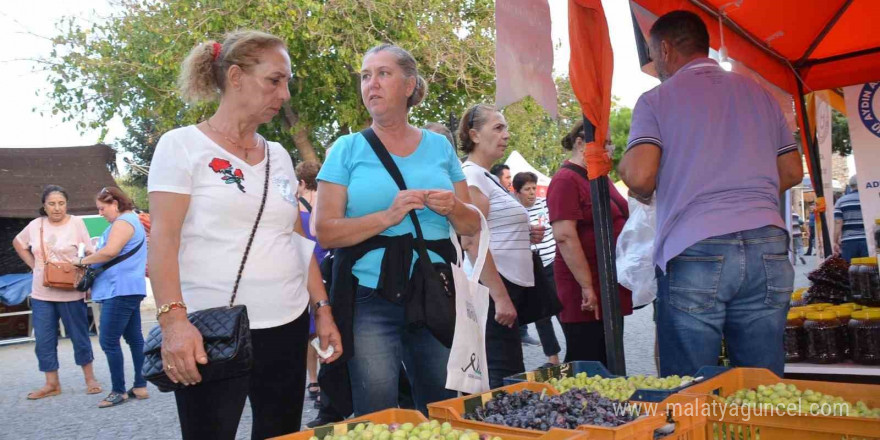 Didim Zeytin Festivali başladı