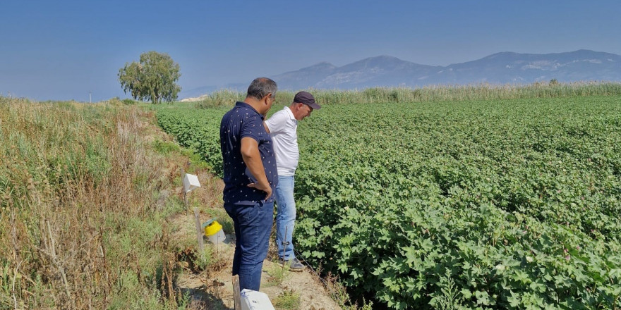 Didim’de beyaz altın hasat kontrolleri devam ediyor