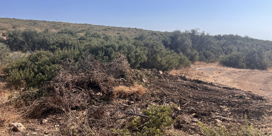 Didim’de hazine arazisinde izinsiz yer açan şahıs jandarmaya takıldı