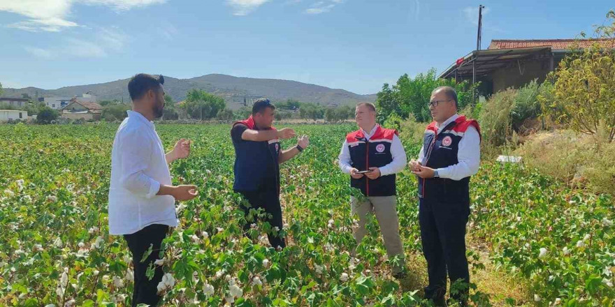 Didim’de üretim alanları kontrol edildi