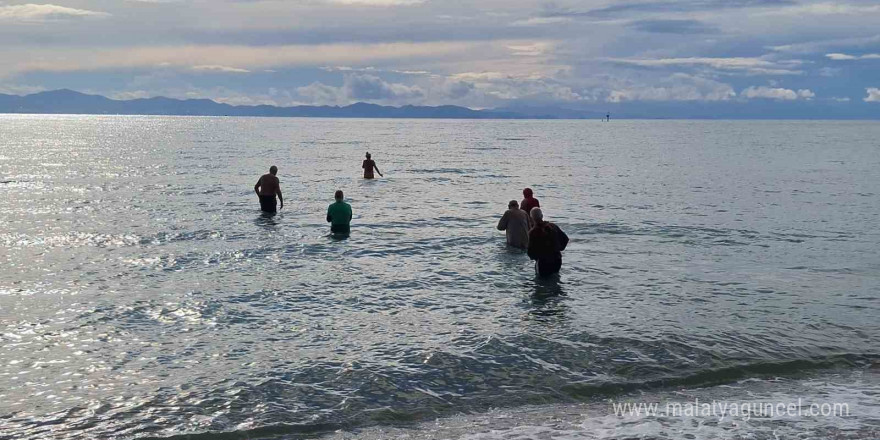 Didim’de yaşayan yabancılar sokak hayvanlarına yardım için denize girdiler