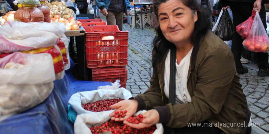 Dikenlerin arasında zahmetle toplanan kuşburnu, tezgahlarda yerini aldı