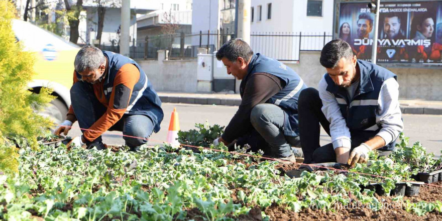 Diyarbakır 1 milyon çiçekle renkleniyor