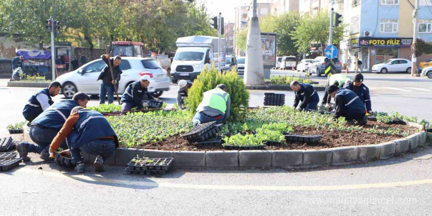 Diyarbakır’da 1 milyon 152 bin bitki dikildi