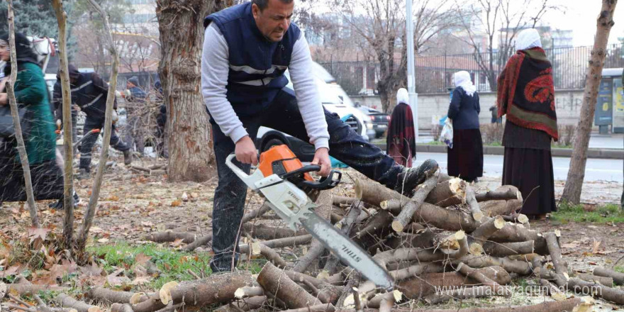 Diyarbakır’da 24 bin 833 ağaç budandı