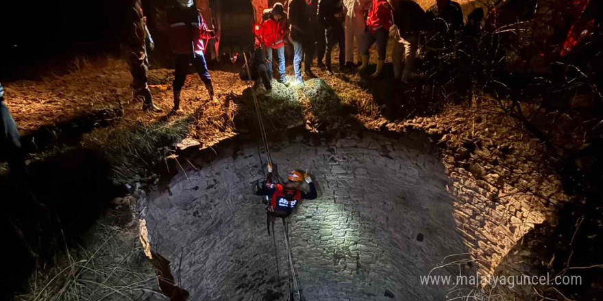 Diyarbakır’da kuyuya düşen yaban domuzu böyle kurtarıldı