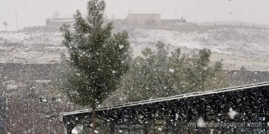 Diyarbakır’da lapa lapa kar yağışı