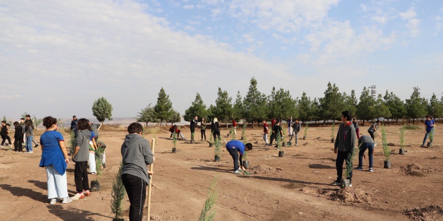 Diyarbakır’da öğrenciler fidan dikti