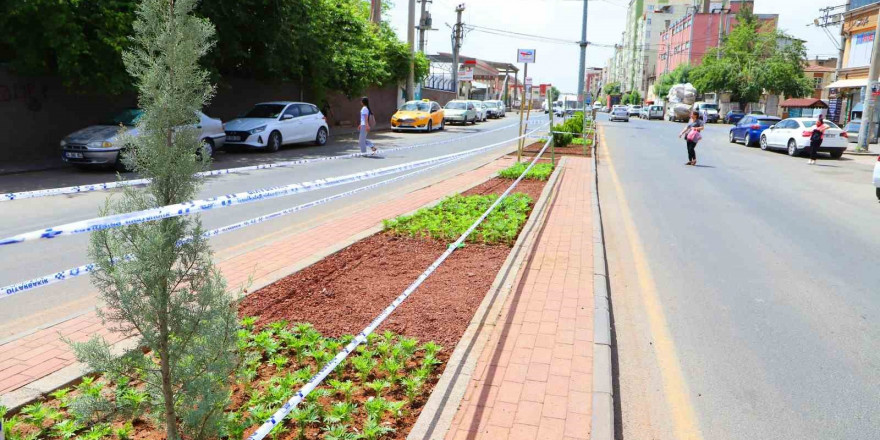 Diyarbakır’da peyzaj çalışmaları sürüyor