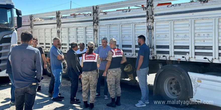 Diyarbakır’da sevk belgesi olmayan 384 adet hayvan kontrole takıldı