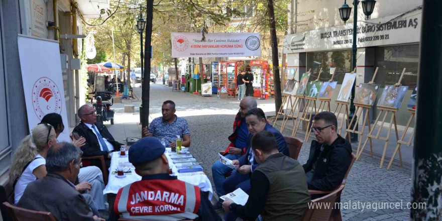 DKMP, Hayvanları Koruma Günü’nde vatandaşları bilgilendirdi