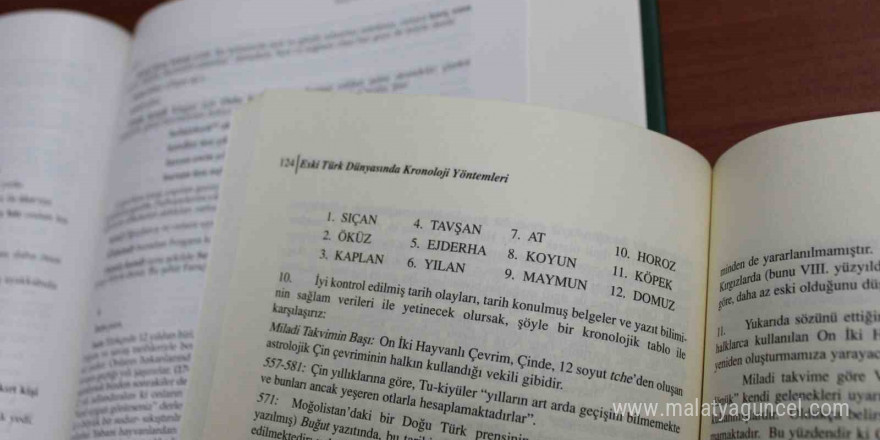 Doç. Dr. Hayrettin İhsan Erkoç: 'Türklerde yılbaşı kutlaması yok'