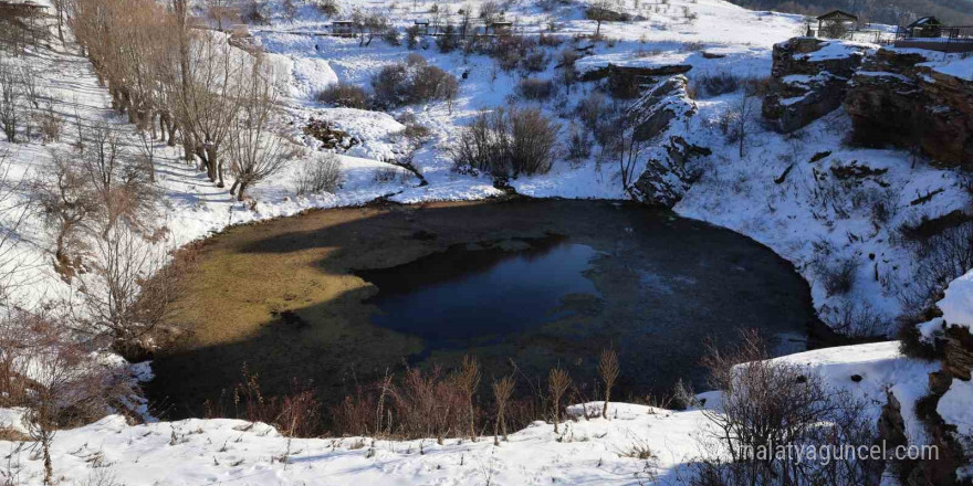 Doğa harikası göl yosunla kaplandı