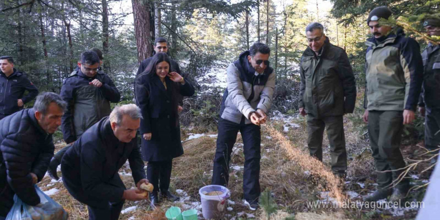 Doğada aç kalan yaban hayvanları için yem bıraktılar