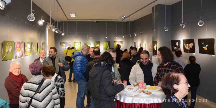 “Doğanın Sessiz Tanıkları” fotoğraf sergisi Anadolu Üniversitesi İBF’de açıldı