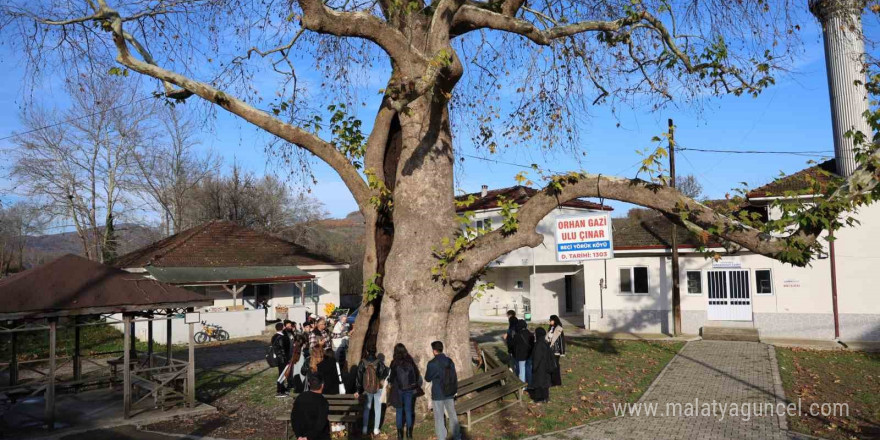 Doğanın tarihin izleri