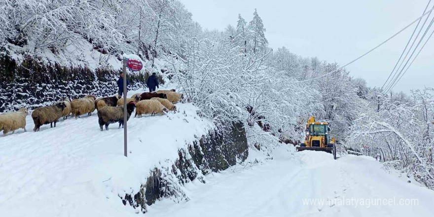 Doğu Karadeniz’de kış