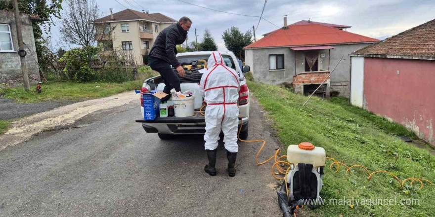 Doğu Karadeniz’in en büyük ilçesi olan Ortahisar’da kahverengi kokarca ile mücadelede ilaçlama seferberliği başlatıldı