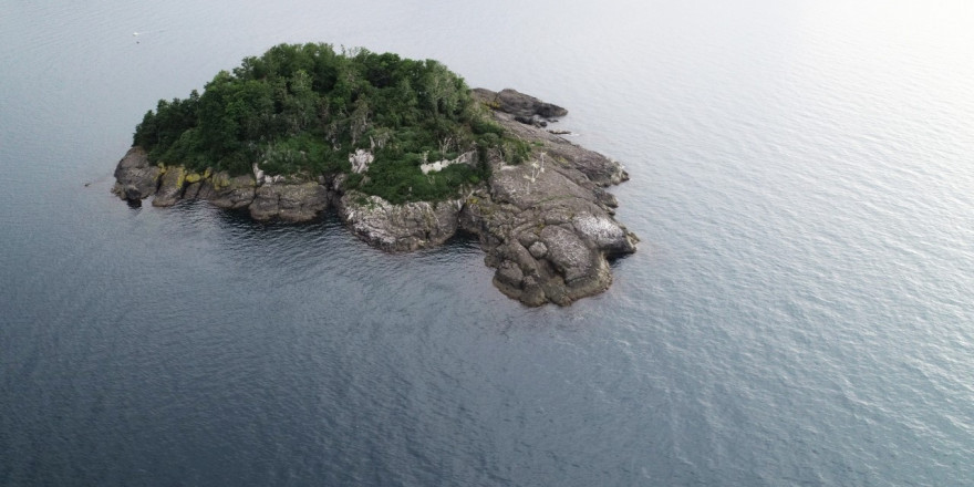 Doğu Karadeniz’in tek yaşanabilir adasını turizme kazandırmak için yatırımcı bekleniyor