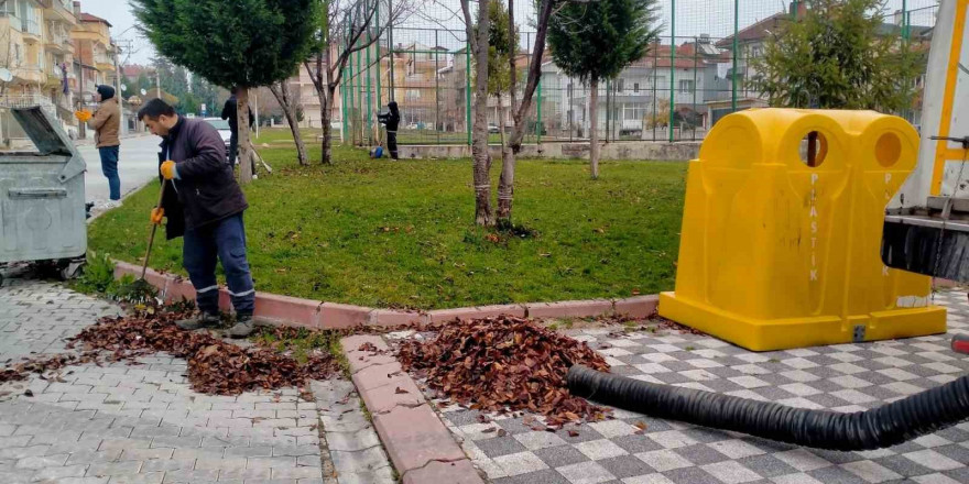 Dökülen yapraklar titizlikle toplanıyor