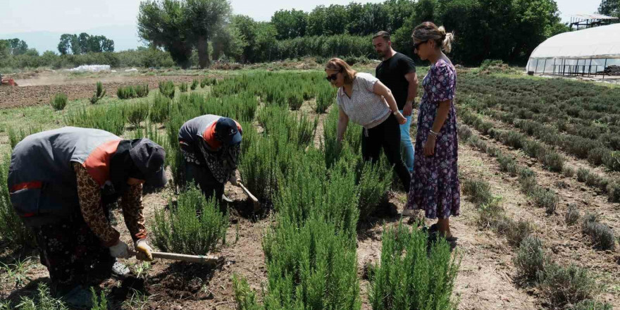 Düzce tarımda atılıma geçiyor