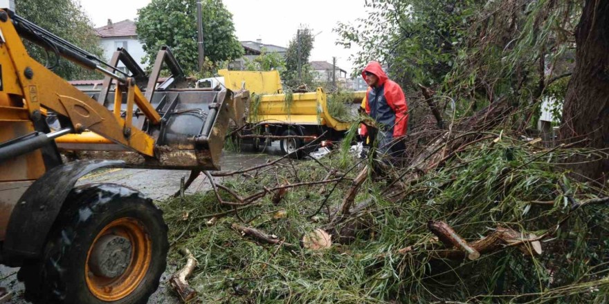 Düzce’de fırtınaya ağaçlar dayanamadı devrildi