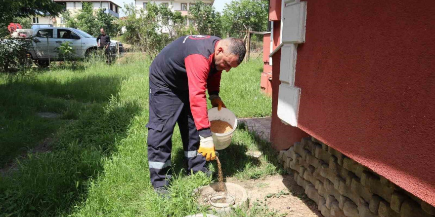 Düzce’de haşere ile mücadele sürüyor