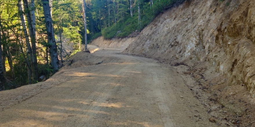 Düzce’de orman içi yeni yol yapım işleri tamamlandı