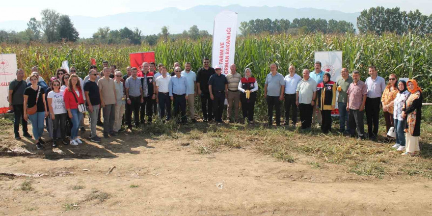 Düzce’de yerli silajlık mısır tarla günü düzenlendi