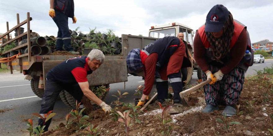 Düzce’nin dört bir yanı çiçeklendiriliyor