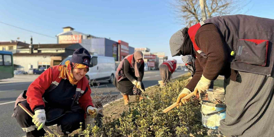 Düzce’yi kadınlar güzelleştiriyor