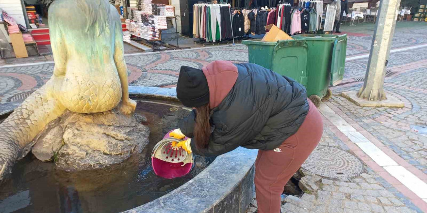 Edirne kuru ayaza teslim oldu, havuzlar dondu