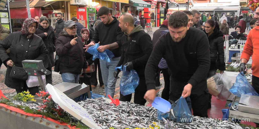 Edirne’de hamsi bolluğu: Kilosu 100 liraya düştü