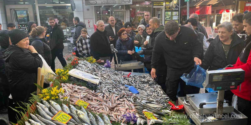 Edirne’de hamsi bolluğu: Kilosu 100 liraya düştü